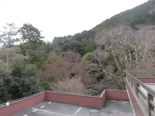 善峯寺(京都府)