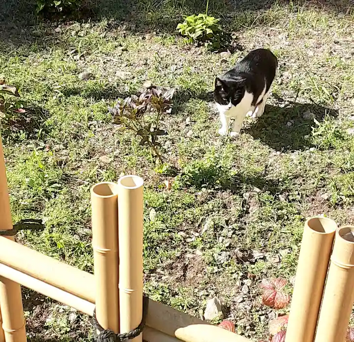 白金氷川神社(東京都)