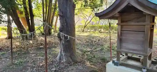 三柱神社(福岡県)