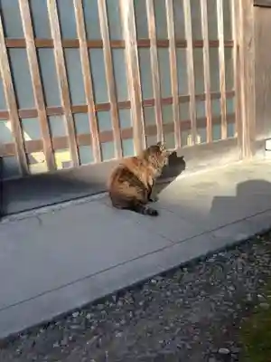 矢合観音の動物