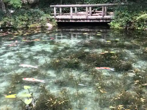 根道神社(岐阜県)