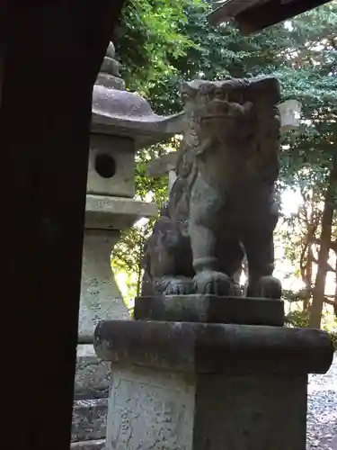 松尾神社の狛犬