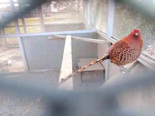 武蔵國八海山神社(埼玉県)