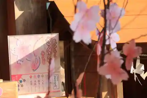 阿久津「田村神社」（郡山市阿久津町）旧社名：伊豆箱根三嶋三社のおみくじ