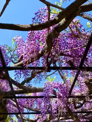 諏訪神社(宮城県)