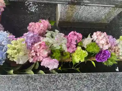 新琴似神社の手水舎