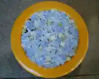 帯廣神社の手水舎