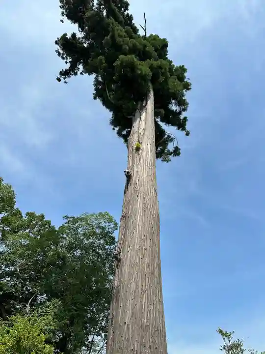 鶴峯八幡宮(千葉県)