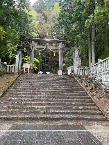 戸隠神社宝光社の鳥居