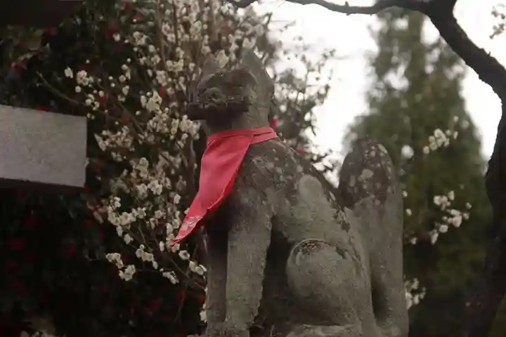 開成山大神宮の狛犬