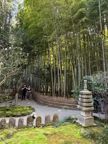 報国寺(神奈川県)