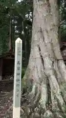 高房神社の建物その他