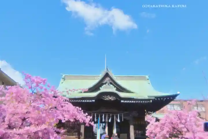 桜神宮(東京都)