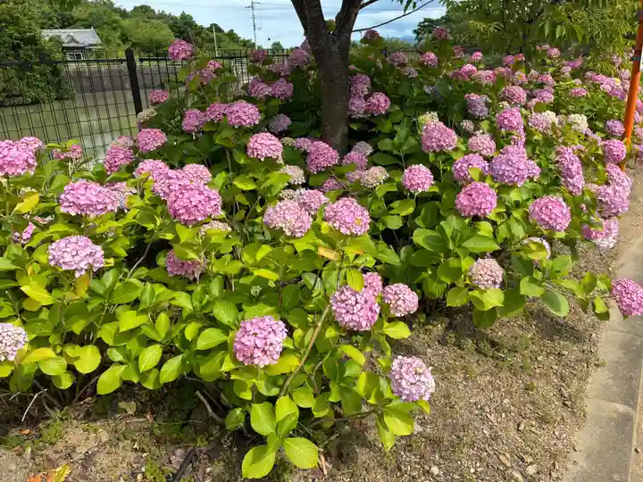 熊谷寺(徳島県)