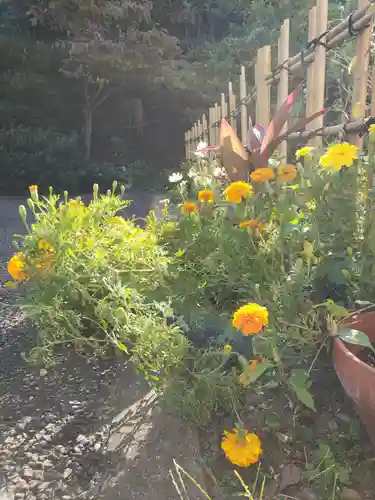 白金氷川神社の自然