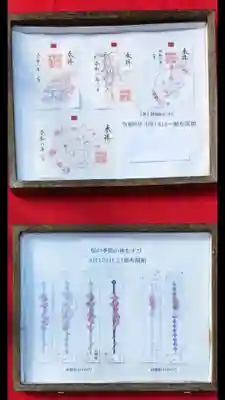 阿佐ヶ谷神明宮の御朱印