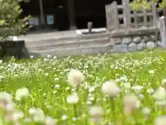 竃神社の自然