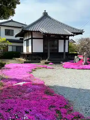 吉祥寺(群馬県)