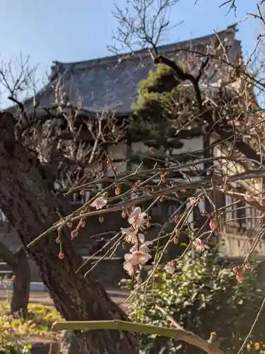 瑞円寺(東京都)