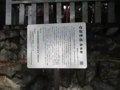 白鬚神社(埼玉県)