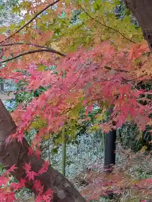 円覚寺(神奈川県)