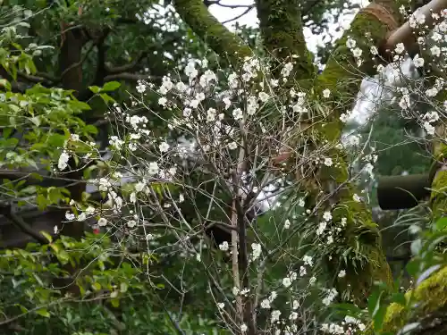 東長谷寺　薬王院の自然