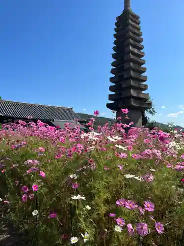 般若寺 ❁﻿コスモス寺❁の塔