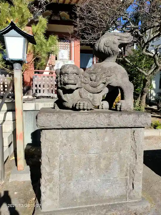 千住本氷川神社の狛犬