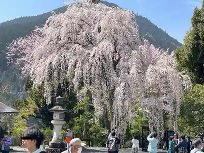 久遠寺(山梨県)