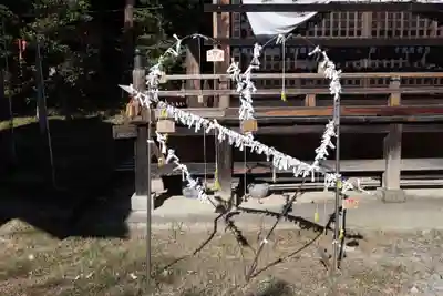 小鹿神社のおみくじ