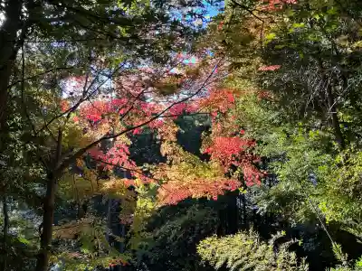 善水寺(滋賀県)