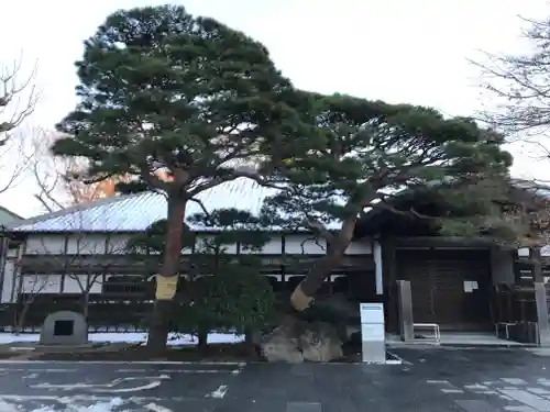 祐天寺(東京都)