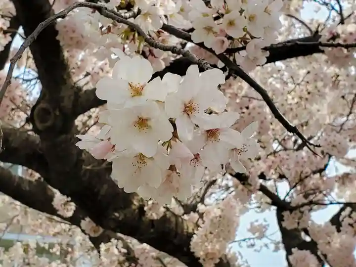 證誠神社の自然