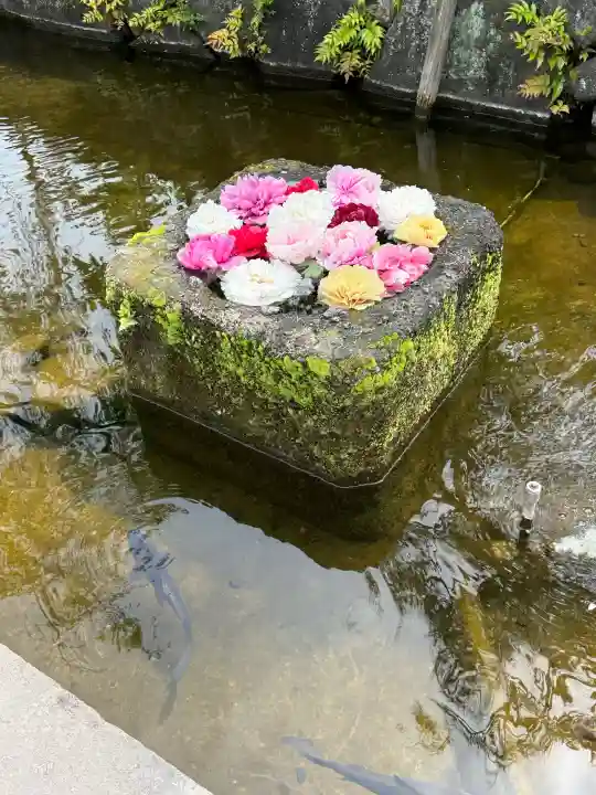 西新井大師総持寺の{uncategorized: "未分類", other: "その他", undefined: "問題あり", building: "その他建物", grave: "お墓", sacred_gate: "鳥居", guardian: "狛犬", statue: "像", buddha: "仏像", history: "歴史", nature: "自然", garden: "庭園", animal: "動物", pagoda: "塔", temizu: "手水舎", mountain_gate: "山門・神門", sanctuary: "本殿・本堂", subordinate: "末社・摂社", art: "芸術", scenery: "景色", jizo: "地蔵", ema: "絵馬", goshuin: "御朱印", omikuji: "おみくじ", items: "授与品その他", amulet: "お守り", goshuincho: "御朱印帳", eats: "食事", festival: "お祭り", votive_dance: "神楽", shichigosan: "七五三参", wedding: "結婚式", experience: "体験その他", initially: "初詣", around: "周辺", anti_infection: "感染症対策"}