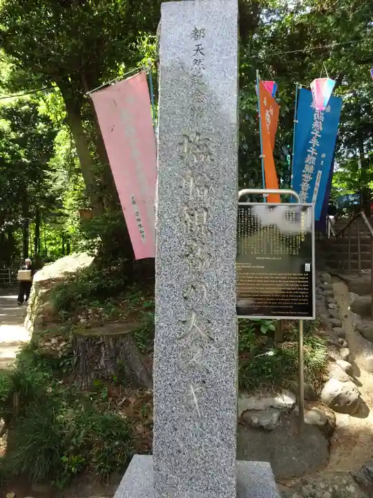 塩船観音寺(東京都)