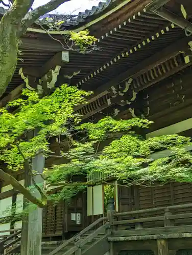 真正極楽寺（真如堂）の本殿・本堂