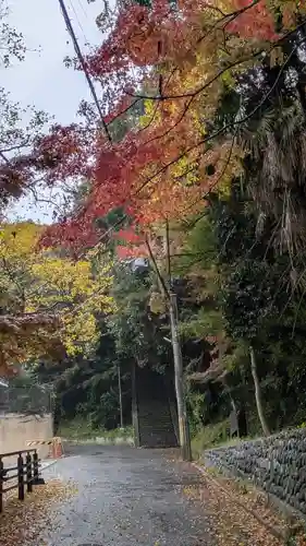 大念寺(京都府)