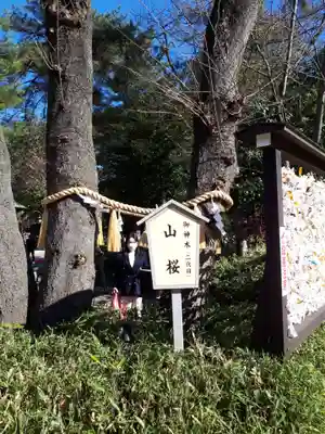 櫻木神社のその他建物