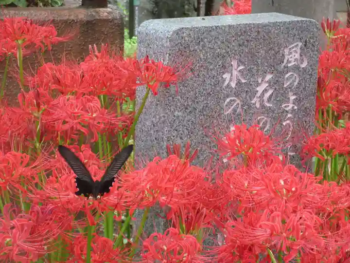 長命寺のその他建物