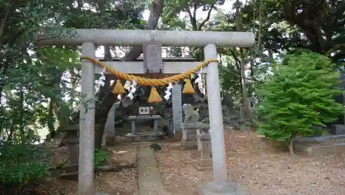 戸隠神社の鳥居