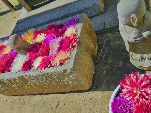 岡寺（龍蓋寺）(奈良県)