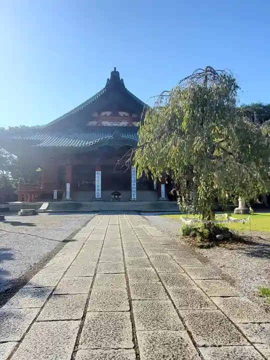 大光院 新田寺(群馬県太田駅)の投稿(2回目)。太田市で一番の大