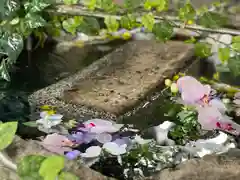 新倉富士浅間神社(山梨県)