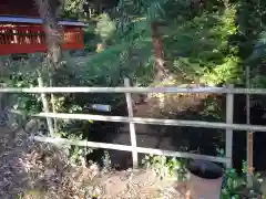 熊野神社の自然