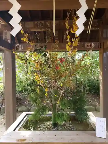 赤坂氷川神社(東京都)