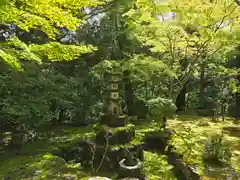 西明寺(京都府)