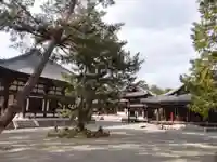 唐招提寺(奈良県)
