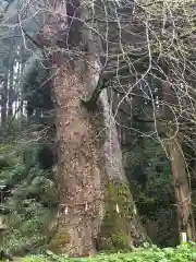 鷹屋神社の自然