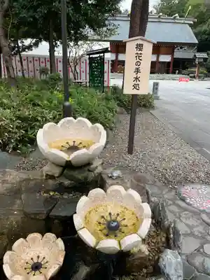 櫻木神社(千葉県)