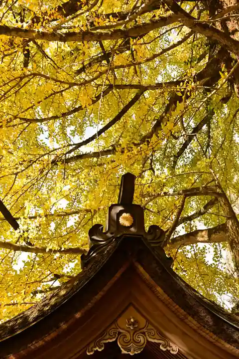 正法寺(滋賀県)